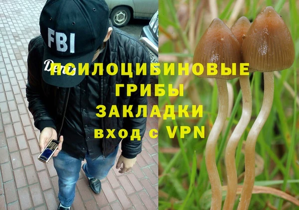 мет Переславль-Залесский