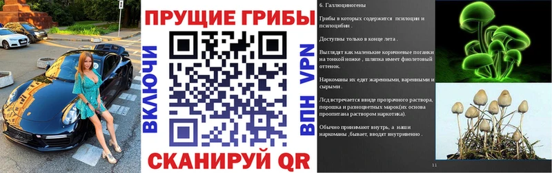 где купить наркотик  Озёрск  Псилоцибиновые грибы MAGIC MUSHROOMS 